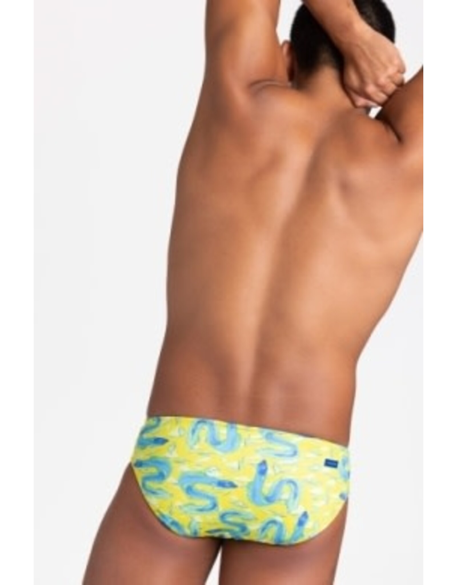 JOLYN JOLYN BROLYN PRINTED BRIEFS