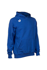 ARENA ARENA TEAM HOODED SWEATSHIRT PANEL HOODIE