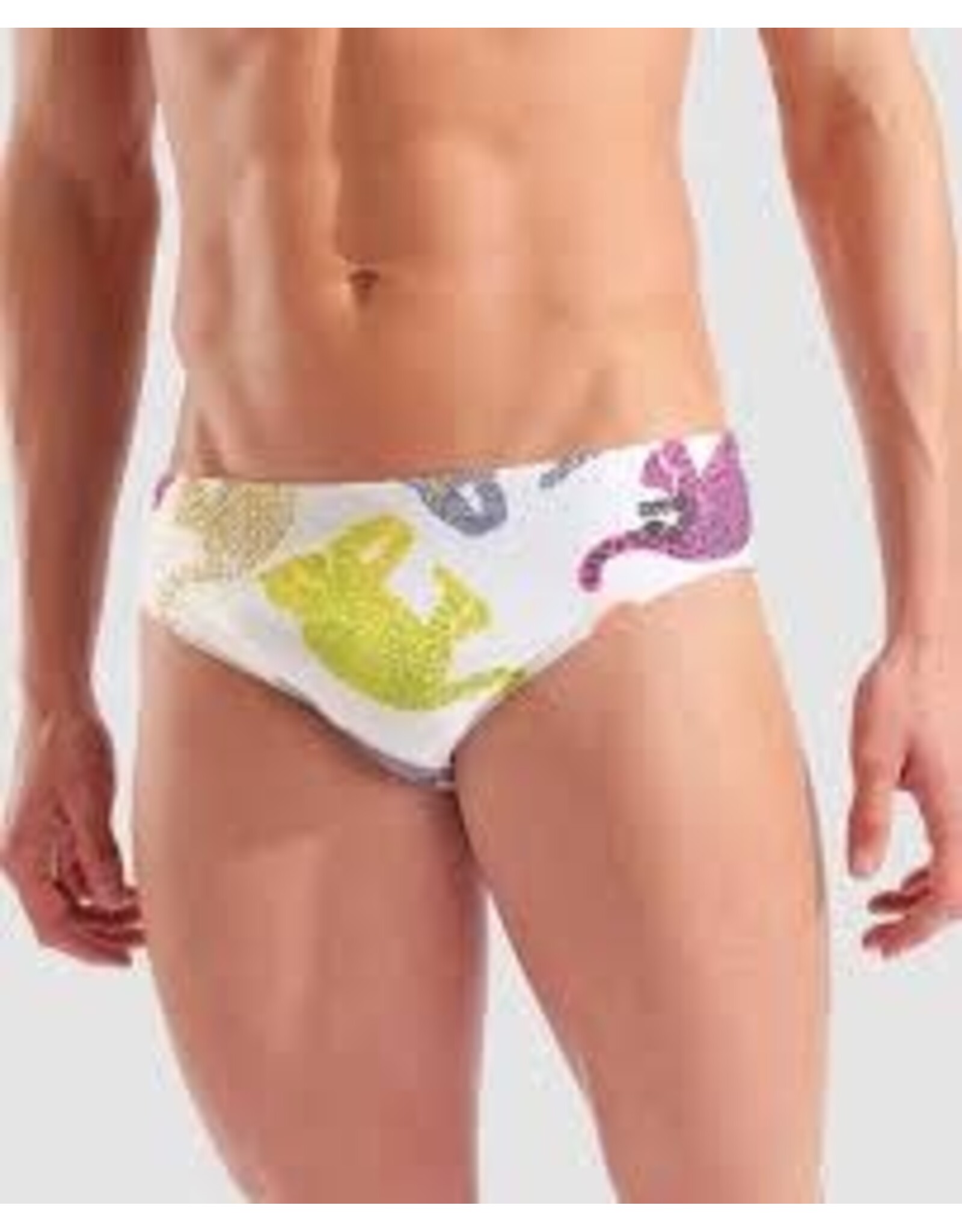 ARENA ARENA IN THE WILD SWIM BRIEFS