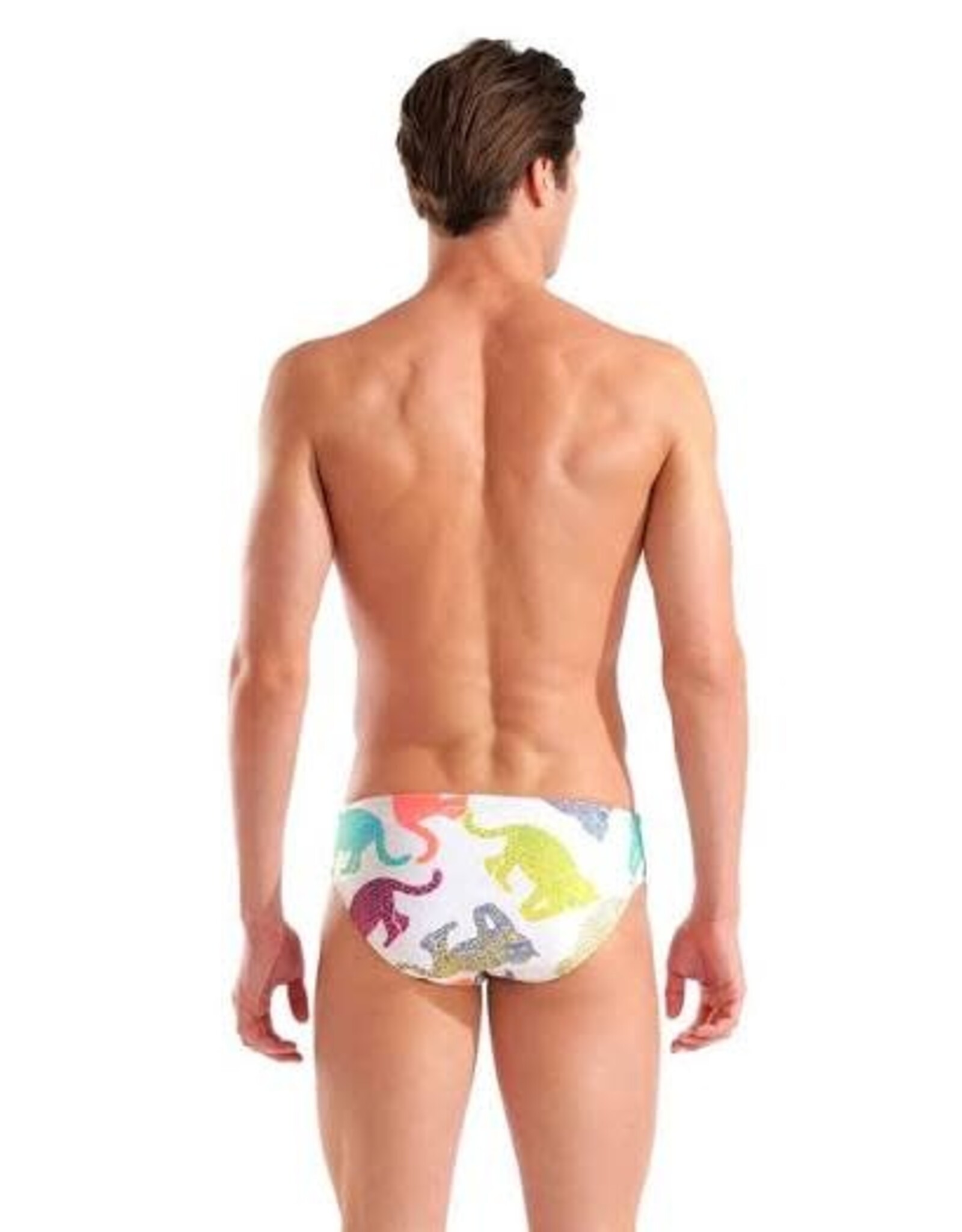ARENA ARENA IN THE WILD SWIM BRIEFS