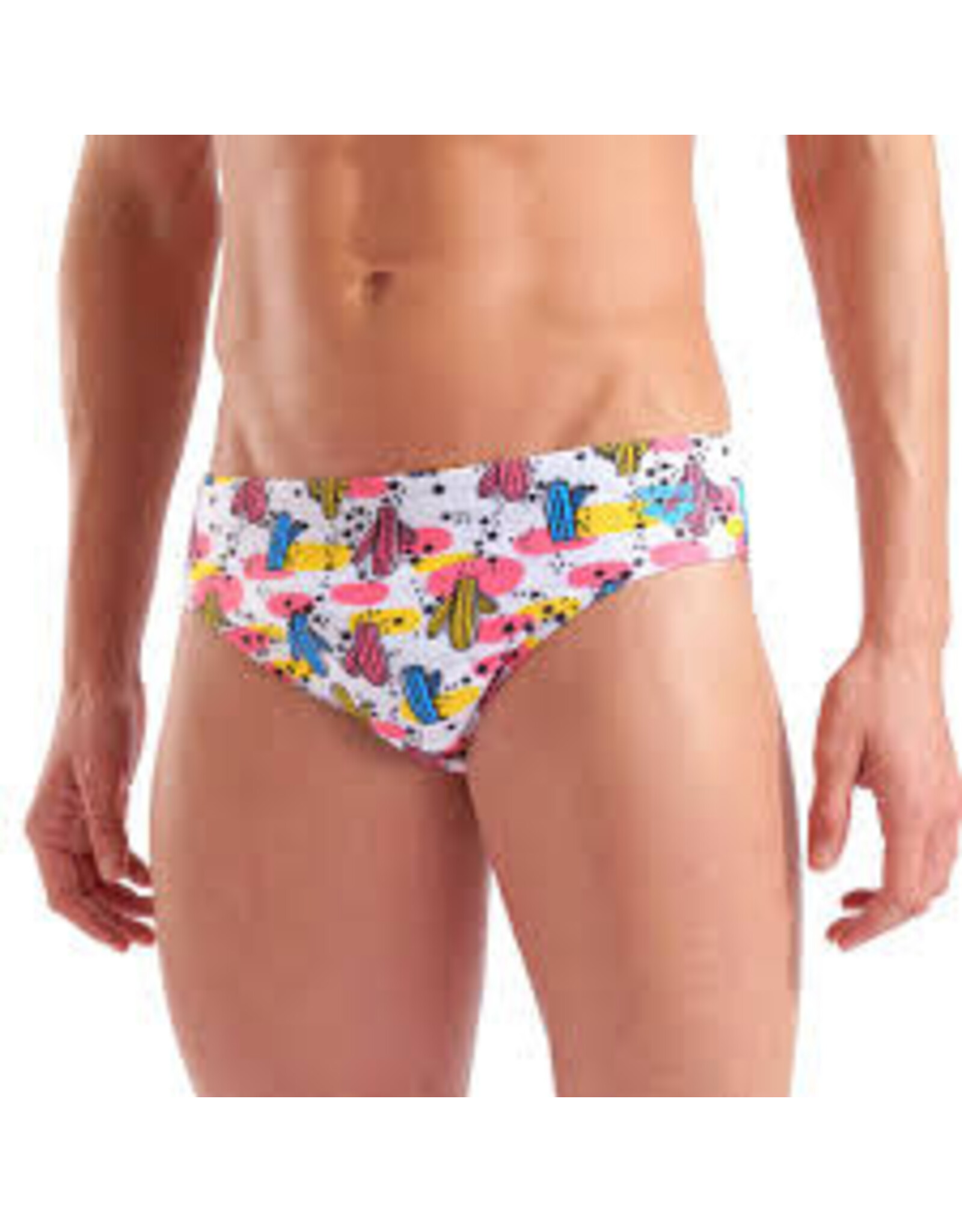 ARENA ARENA DESERT SWIM BRIEFS