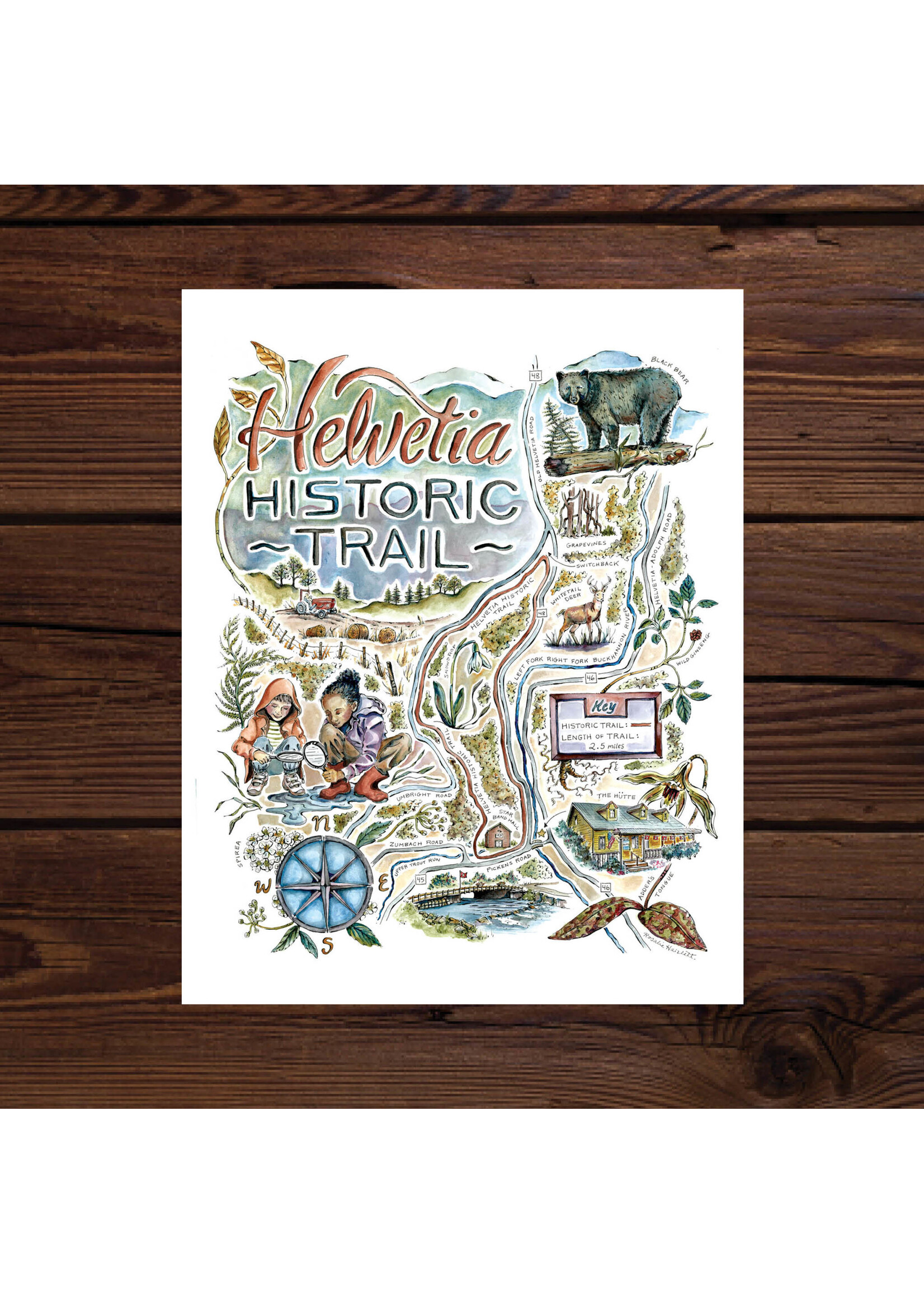 Rosalie Haizlett Assorted Illustrated Maps