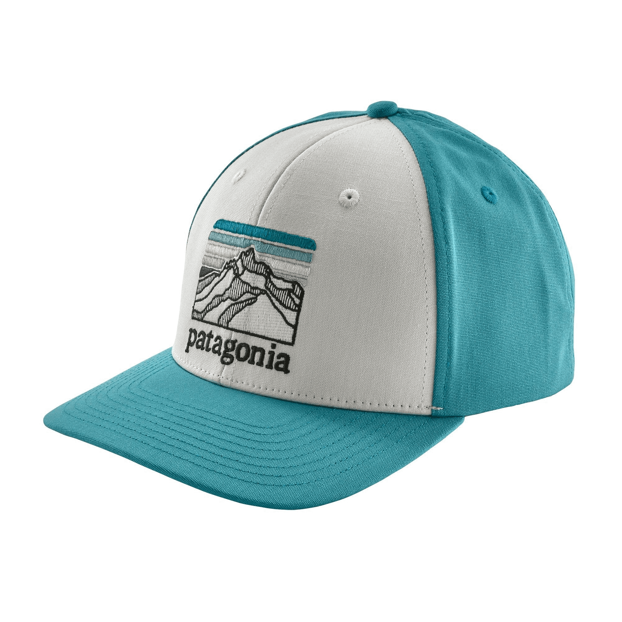 teal patagonia hat
