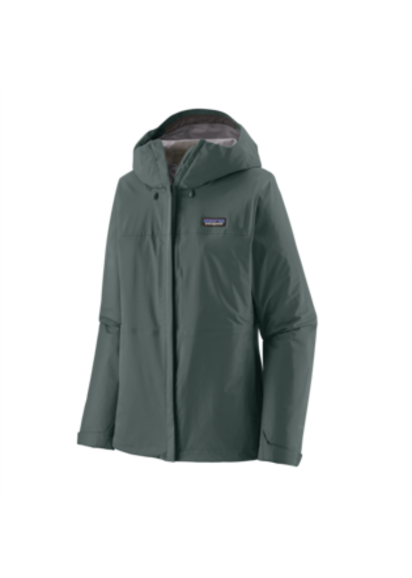 Patagonia torrentshell green 2025