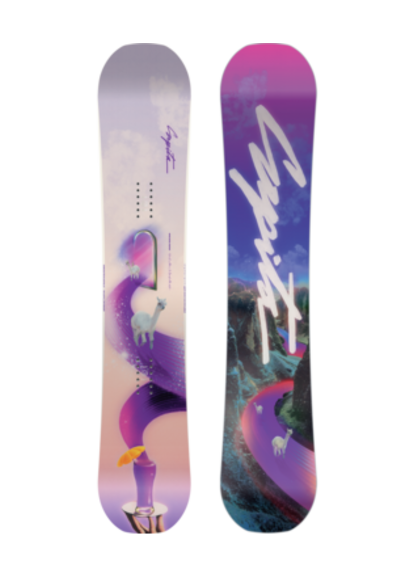 Women's Snowboard Pants – The Source Snowboard & Skate