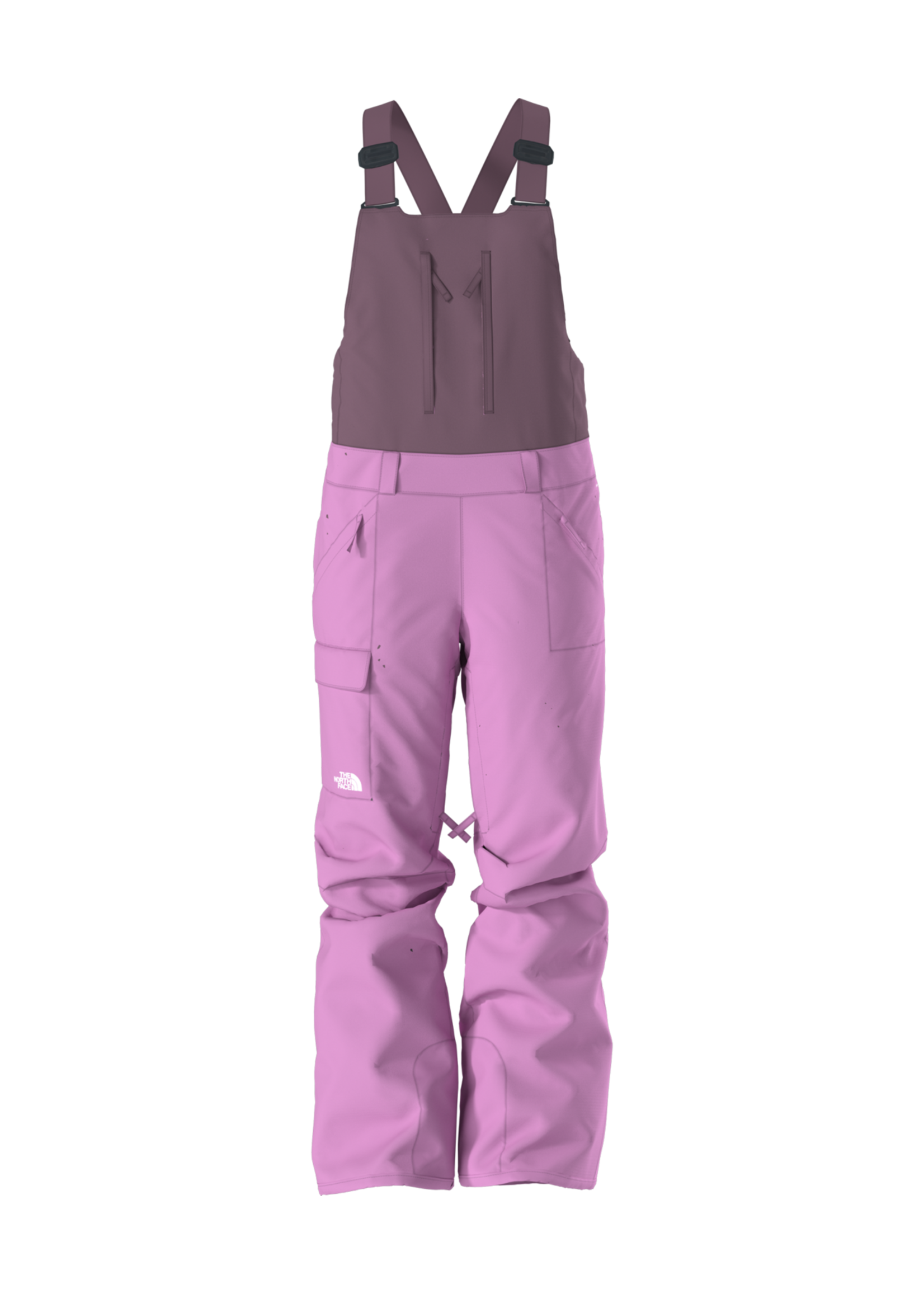 The north face legacy bib hose best sale