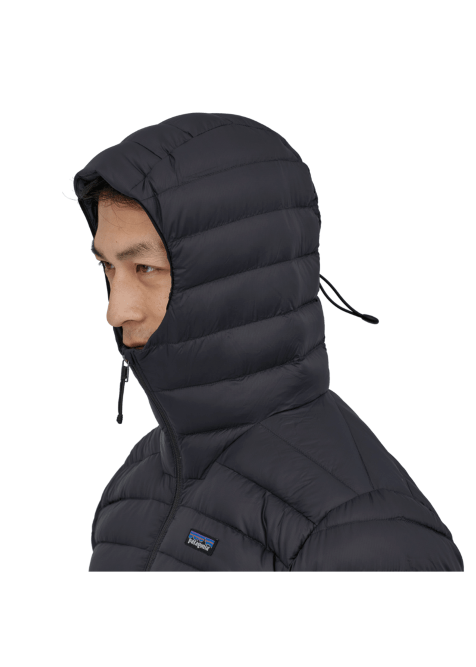 Patagonia Men's Down Sweater Hoody