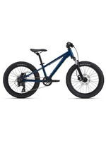 Giant STP 20 FS
