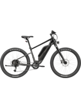 Cannondale Adventure Neo Allroad