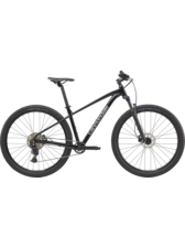 Cannondale Trail 2