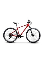 Giant Roam 2 Disc