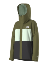 The North Face Women's Freedom Insulated Jacket