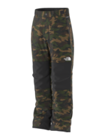 The North Face Boys' Freedom Insulated Pant