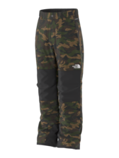 The North Face Boys' Freedom Insulated Pant