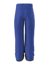 The North Face Boys' Freedom Insulated Pant