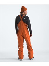 The North Face Men's Freedom Bib - Regular