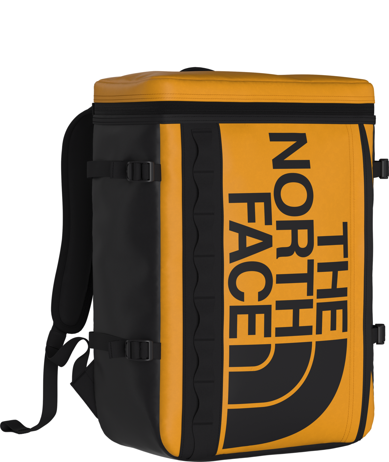 Summit Gold/TNF Black-NPF