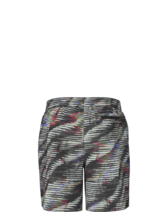 The North Face Men's Class V Pathfinder Short - Short