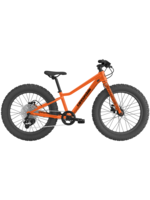 Cannondale Kids Trail 20 Plus