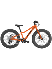 Cannondale Kids Trail 20 Plus