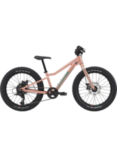 Cannondale Kids Trail 20 Plus