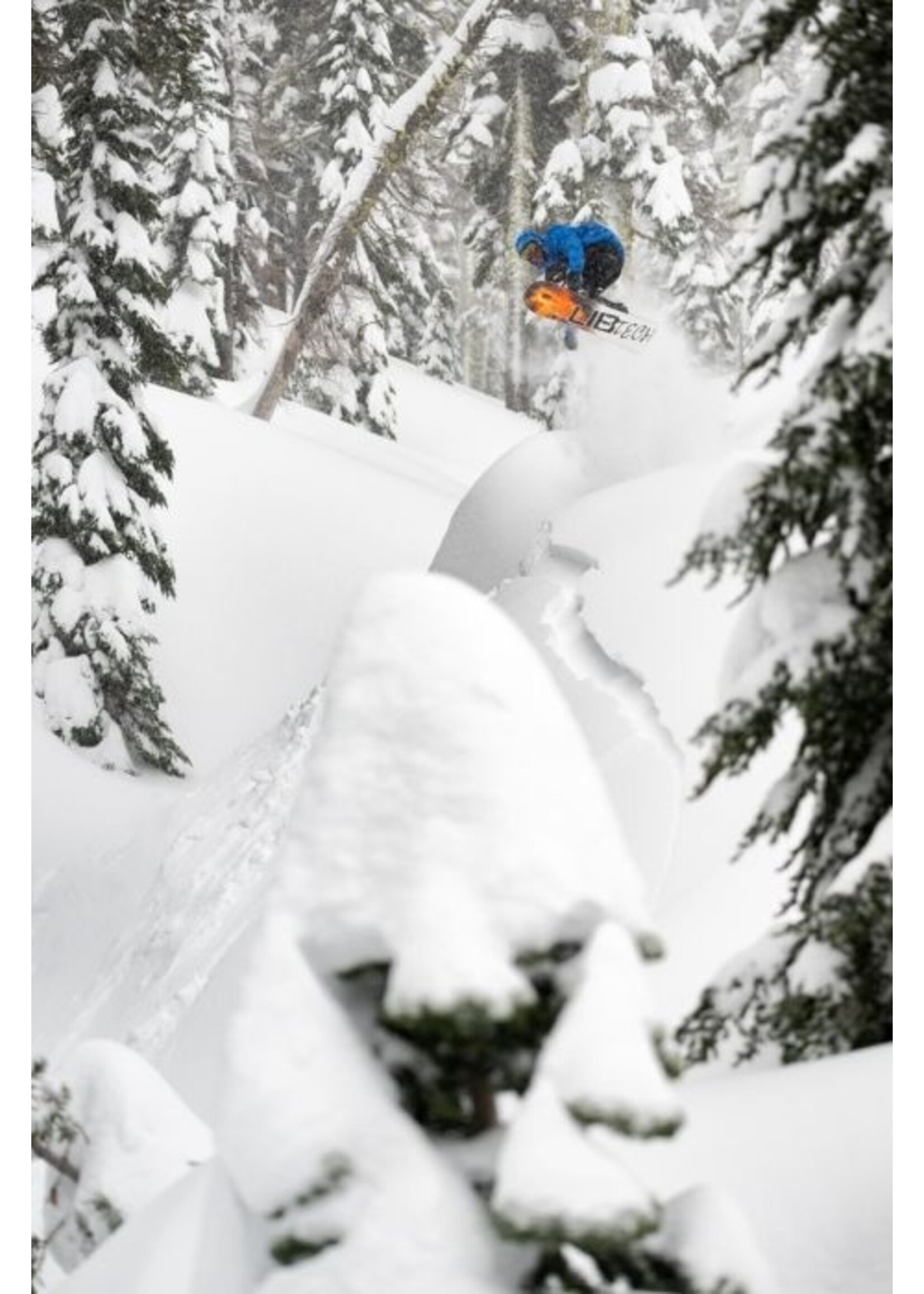 Lib Tech Men's Dynamo Snowboard 2025 - Pathfinder of WV