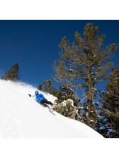 Lib Tech Dynamo Snowboard