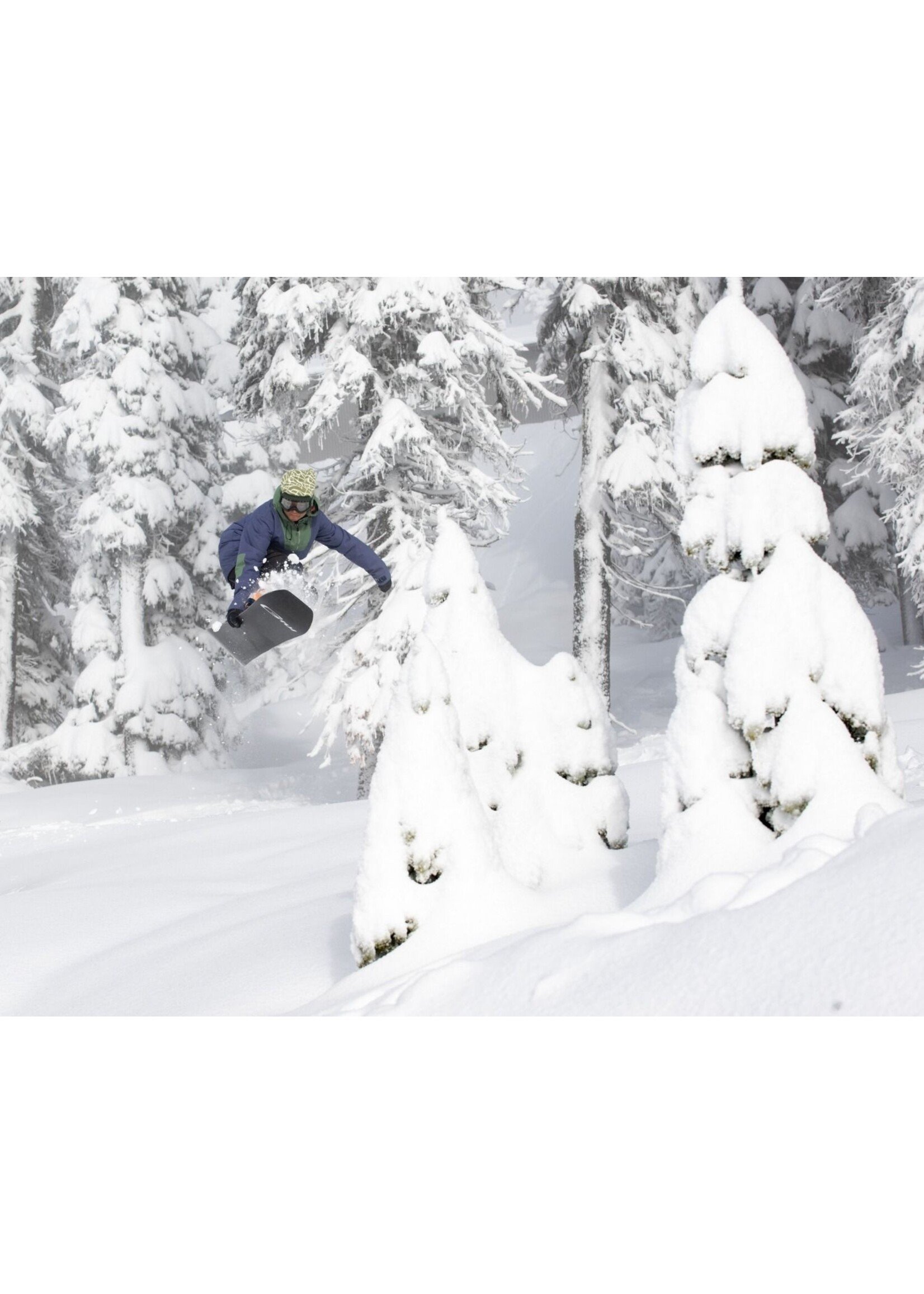 GNU Gremlin Snowboard 2025 - Pathfinder of WV