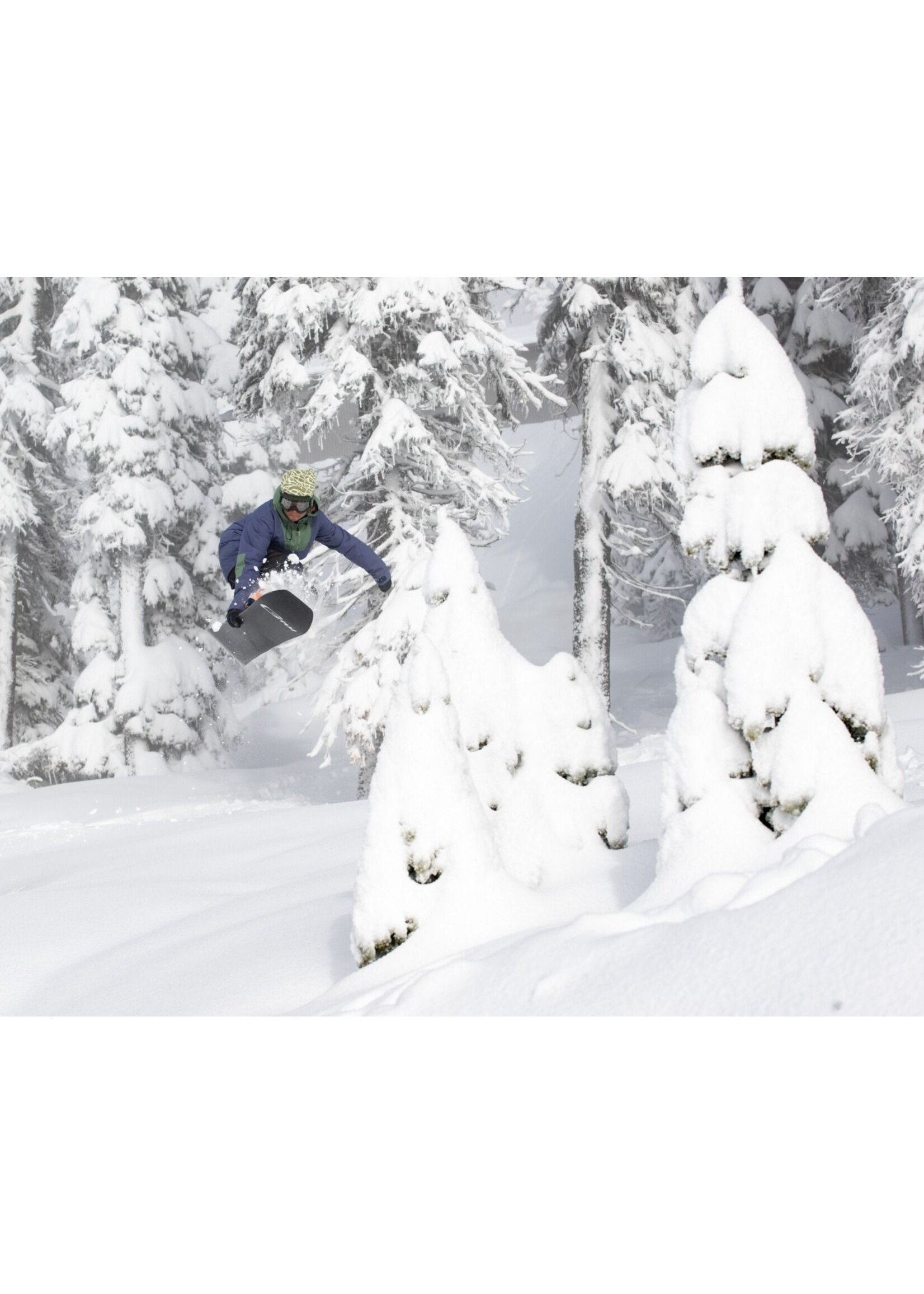 GNU Gremlin Snowboard - Pathfinder of WV