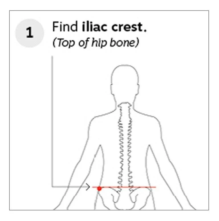 Step 1. Find the iliac crest (Top of hip bone).