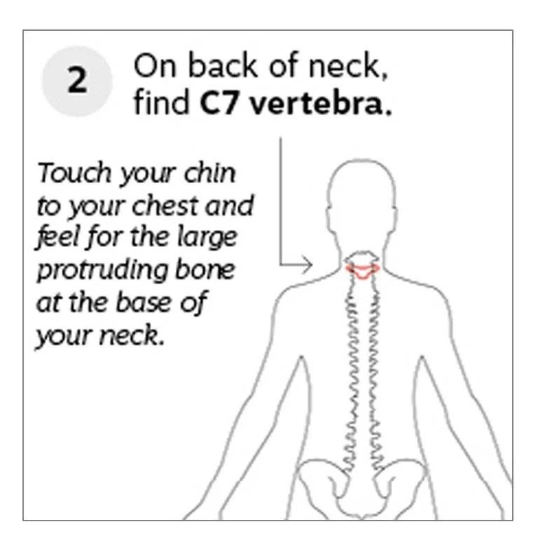 Step 2. On the back of the neck, find the C7 vertebra. Touch your chin to your chest and find the protruding bone at the base of your neck.
