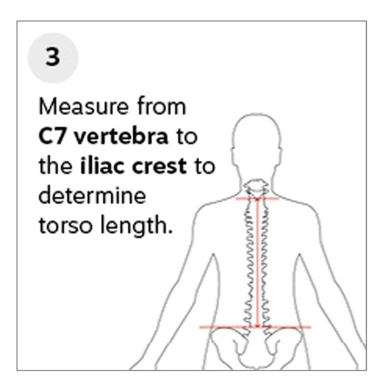Measure vertically from the iliac crest to the C7 vertebra to get torso length.