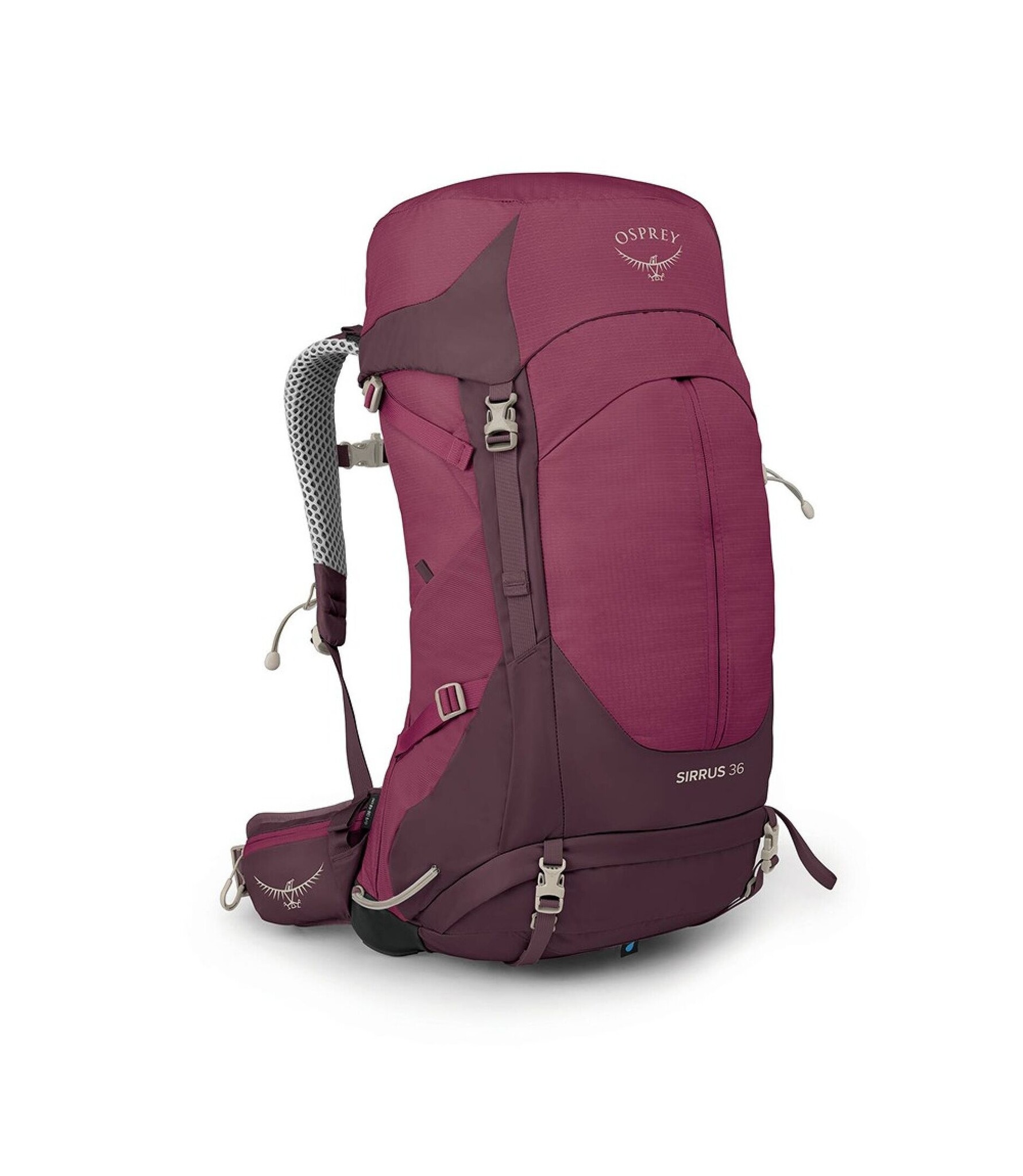Elderberry Purple/Chiru Tan