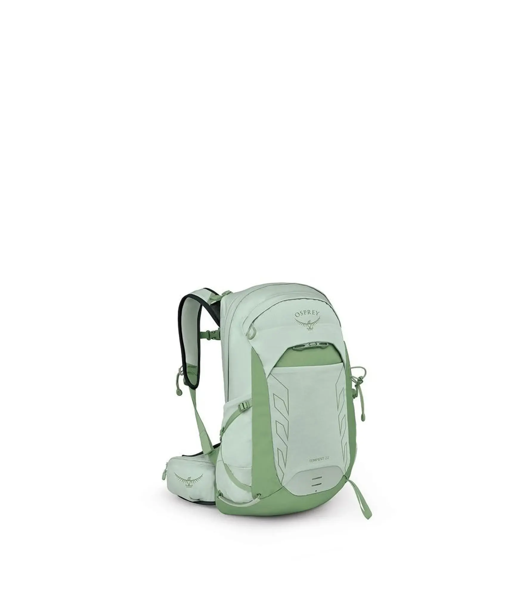 Frosty Mint Green Botanica