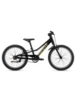 Giant Talon 20 Single Speed