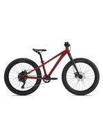 Giant STP 24