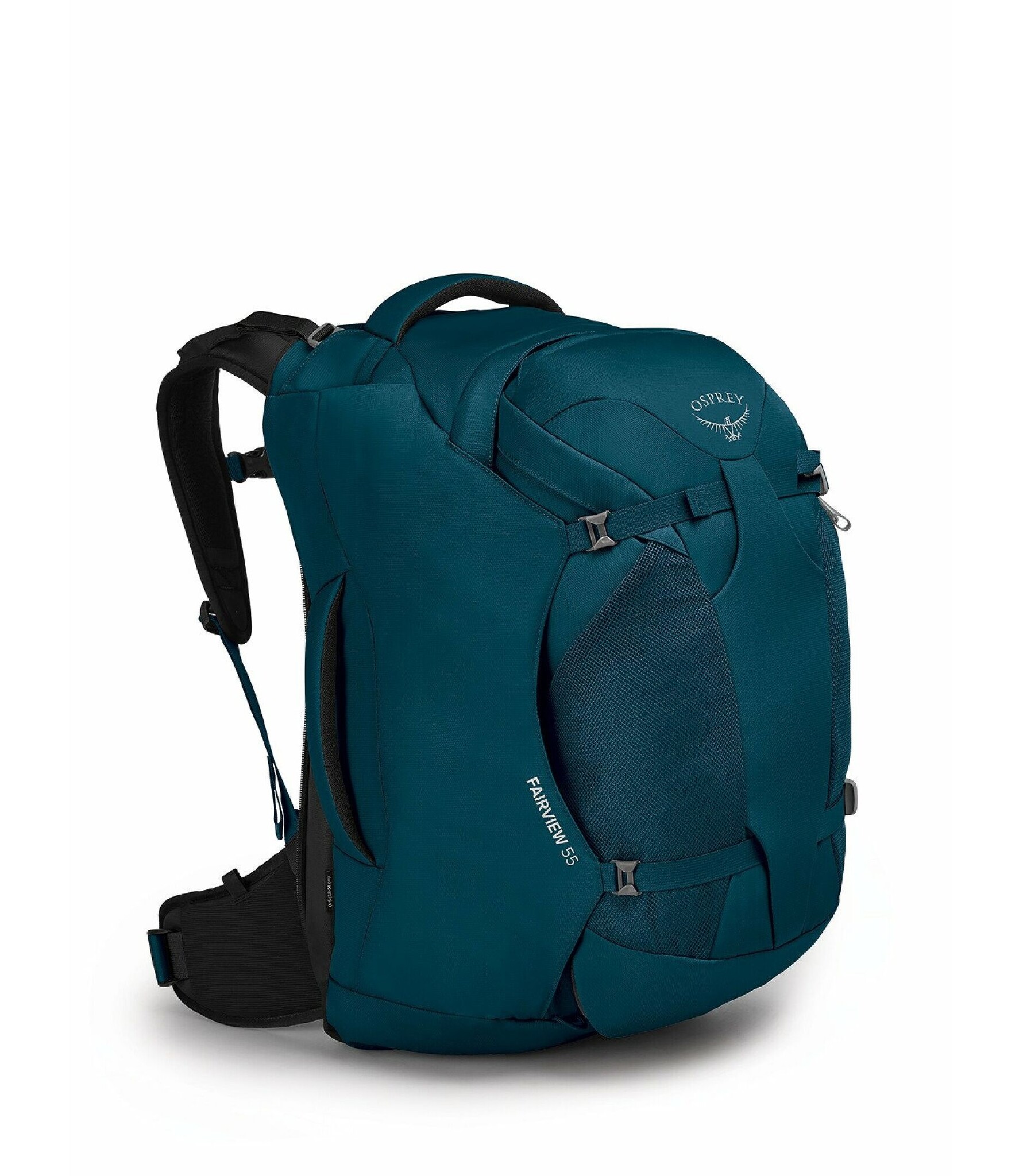Night Jungle Blue