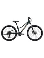 Giant Talon 24 Disc