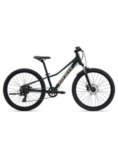 Giant Talon 24 Disc