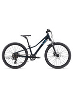 LIV Tempt 24 Disc