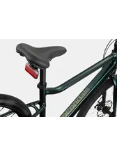 Cannondale Treadwell Neo 2