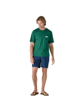 Patagonia Men's Wavefarer Hybrid Walk Shorts - 18 in.