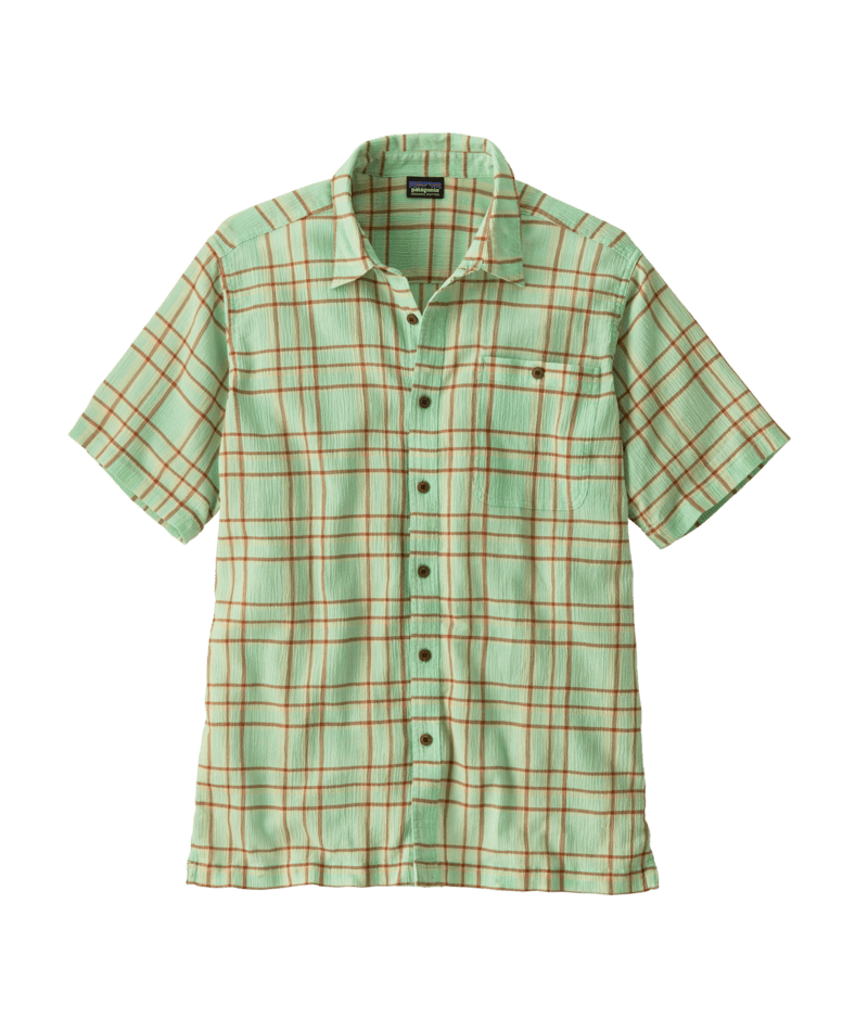 Bloom Rinsed Green