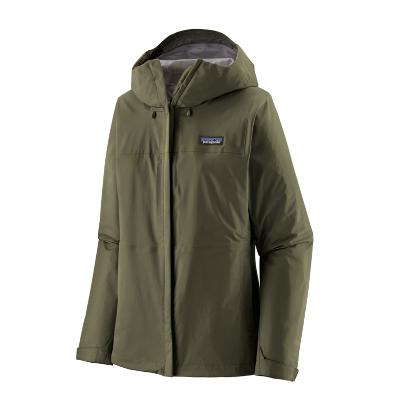 Pine Needle Green