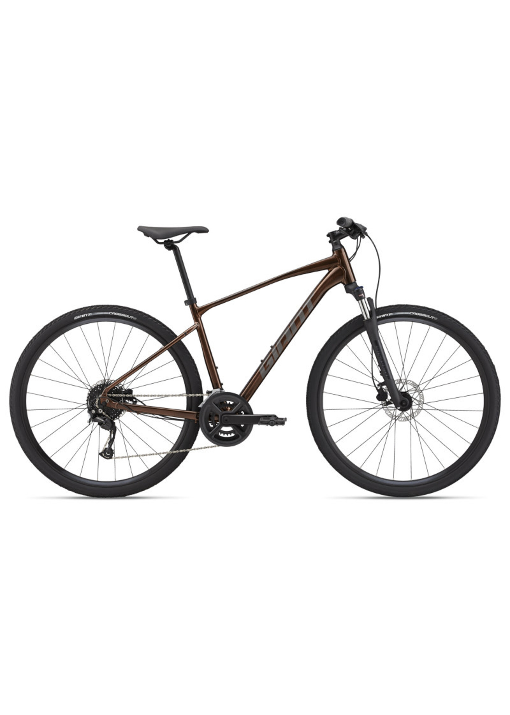 Giant Roam 2 Disc - Pathfinder of WV