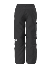 The North Face Men's Freedom Pant - Regular