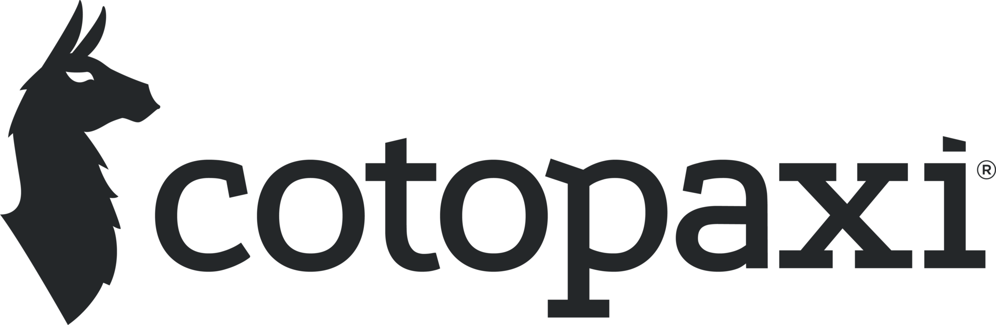Cotopaxi logo
