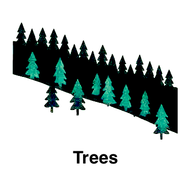 Trees