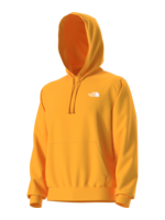 The North Face Men's Evolution Box NSE Regular Hoodie