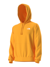 The North Face Men's Evolution Box NSE Regular Hoodie
